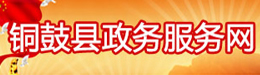 銅鼓縣政務服務網